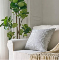 /msite/products/detail/productid/57941479/id/77354.html